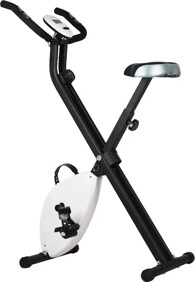 VIFITO GETUP foldable bike